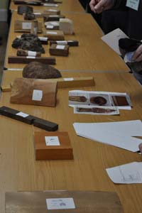 Timber identification quiz