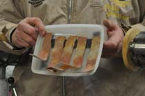 Sanding strips