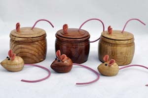 Mice in boxes