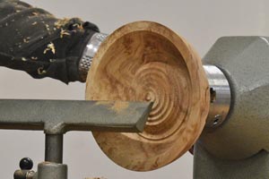 Burr elm bowl