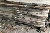 spalted beech planks