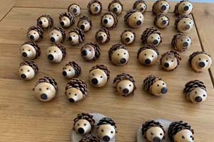 Hedgehog pine cones