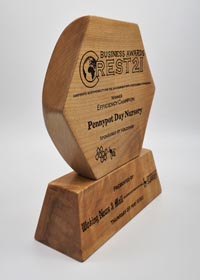 handmade wooden trophies