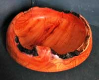 Natural edge bowl in yew