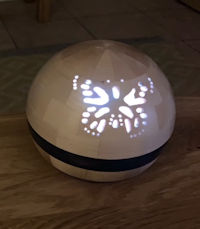Wooden segmented light